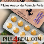 Anaconda Strong Formula Pills 41